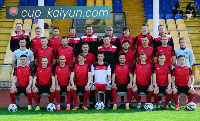 开云官网APP 体育赛事宣传图