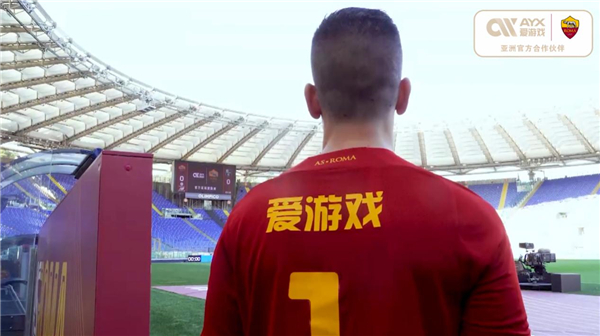 国内足球环